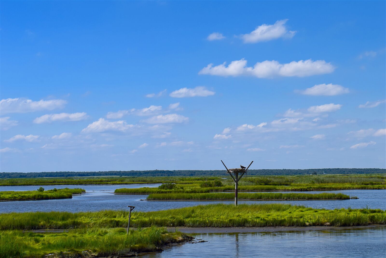 Nikon D3300 sample photo. Marshland, estuary, water photography