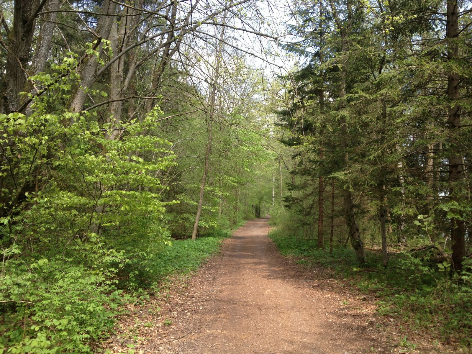 Apple iPhone 4S sample photo. Forest, away, path photography
