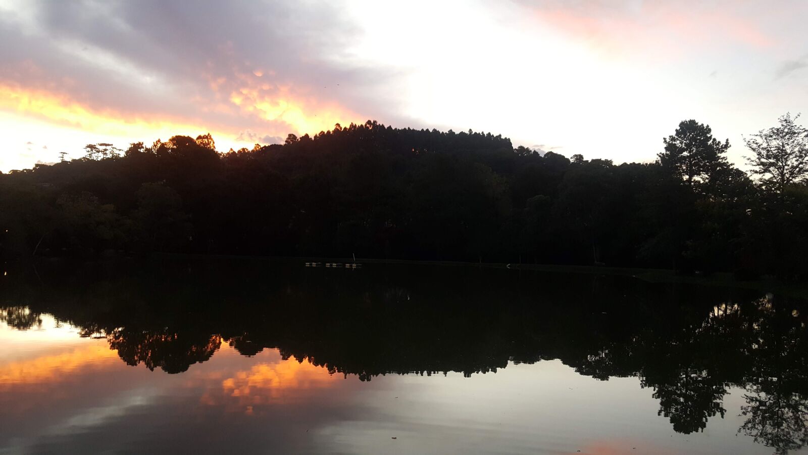 Samsung GALAXY S6 edge sample photo. Symmetry, afternoon, vine photography