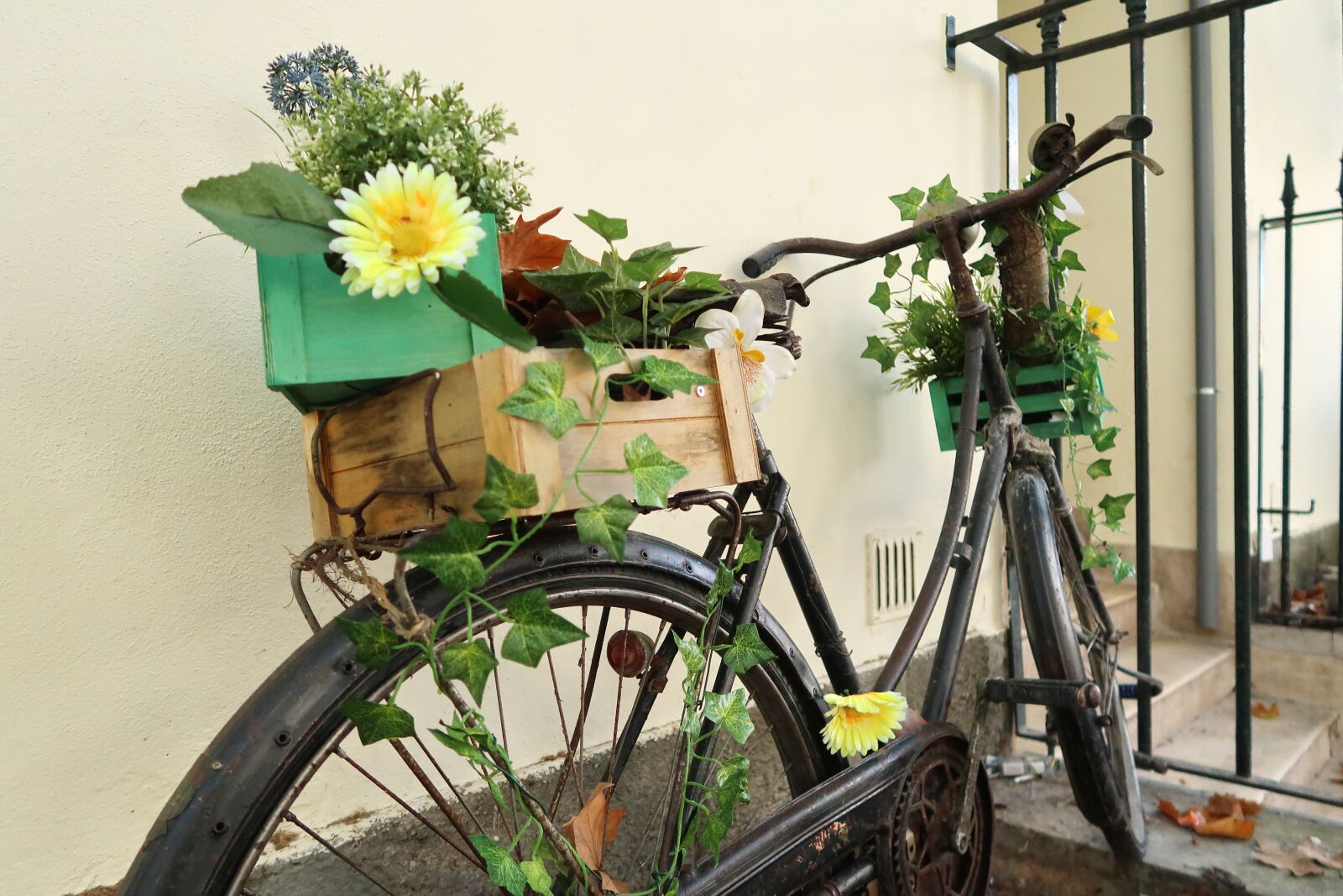 Canon PowerShot G7 X Mark II sample photo. Bike, flowers, old photography