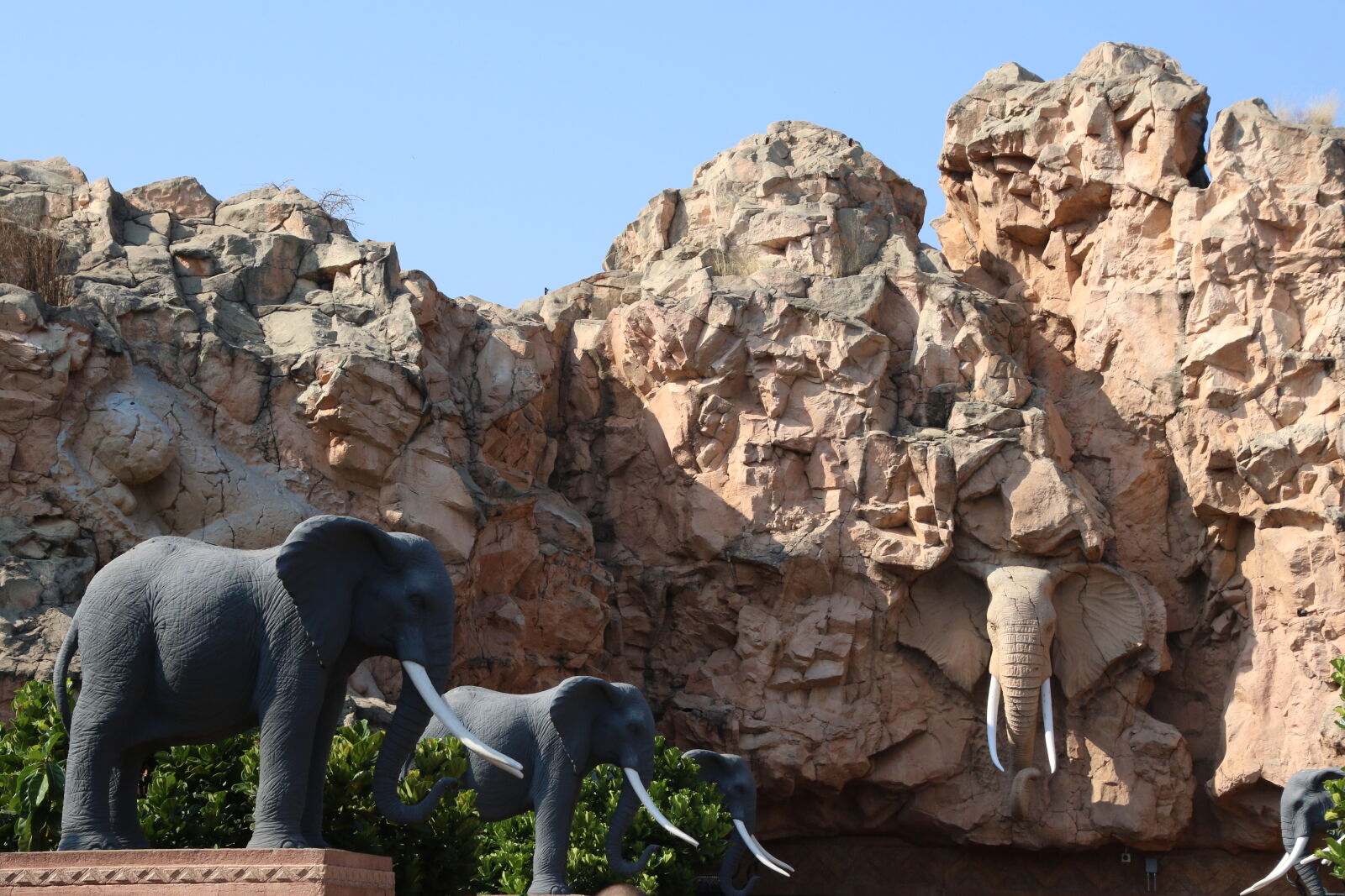 Canon EOS 7D Mark II sample photo. Africa, animal, animals, brown photography