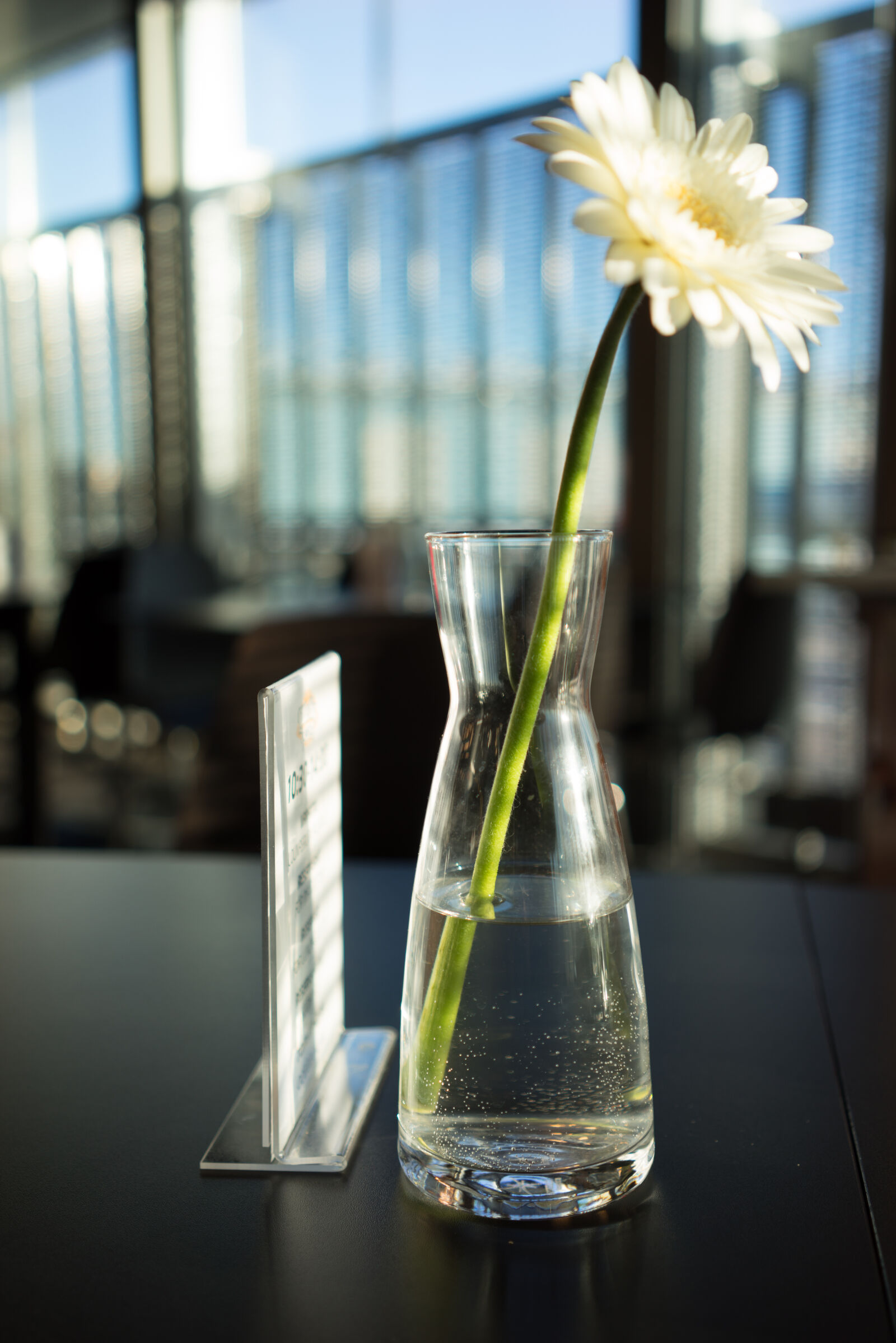Sony a7R + Sony Sonnar T* FE 35mm F2.8 ZA sample photo. Lunch with sun photography