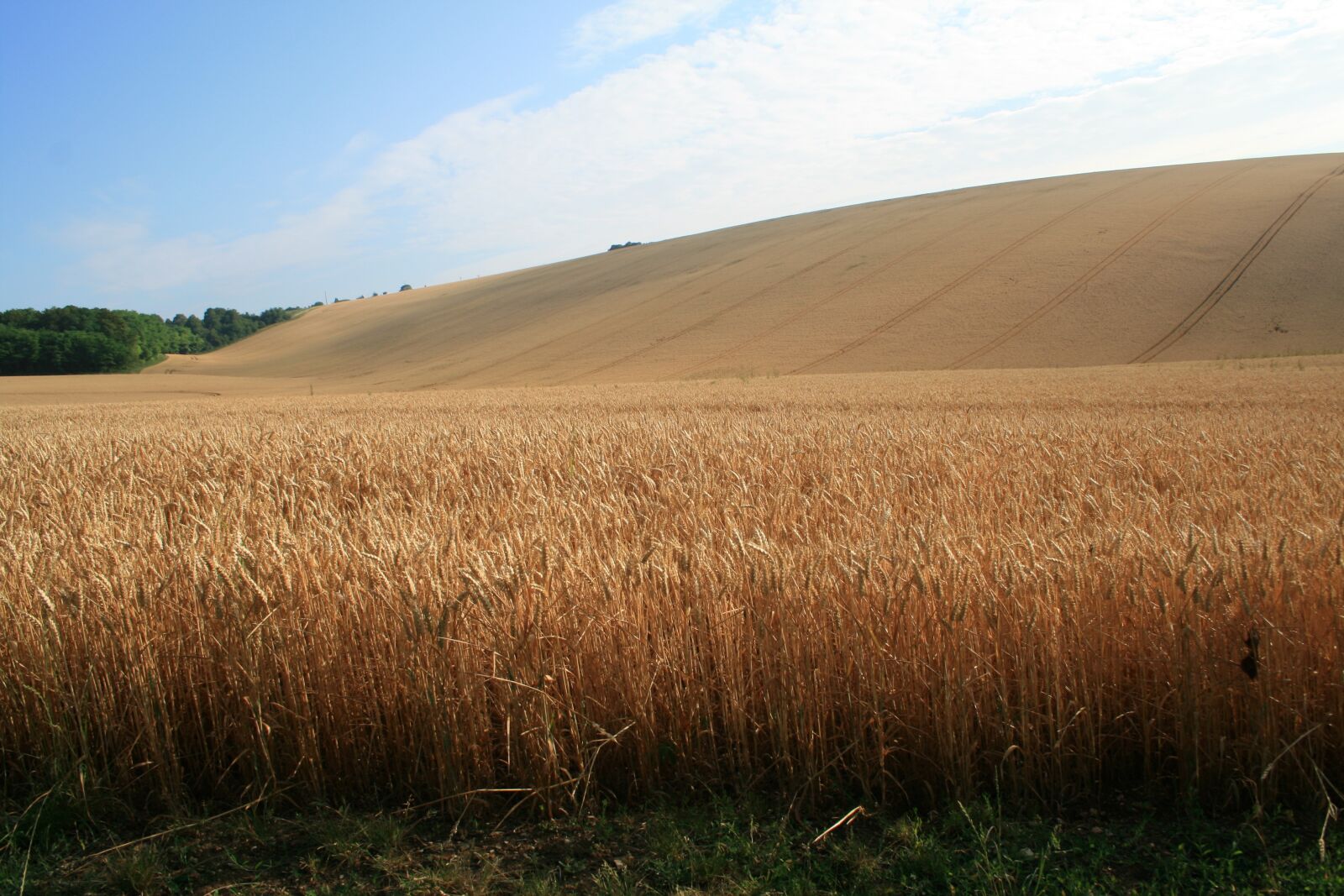 Canon EOS 400D (EOS Digital Rebel XTi / EOS Kiss Digital X) sample photo. Field, france, nature photography