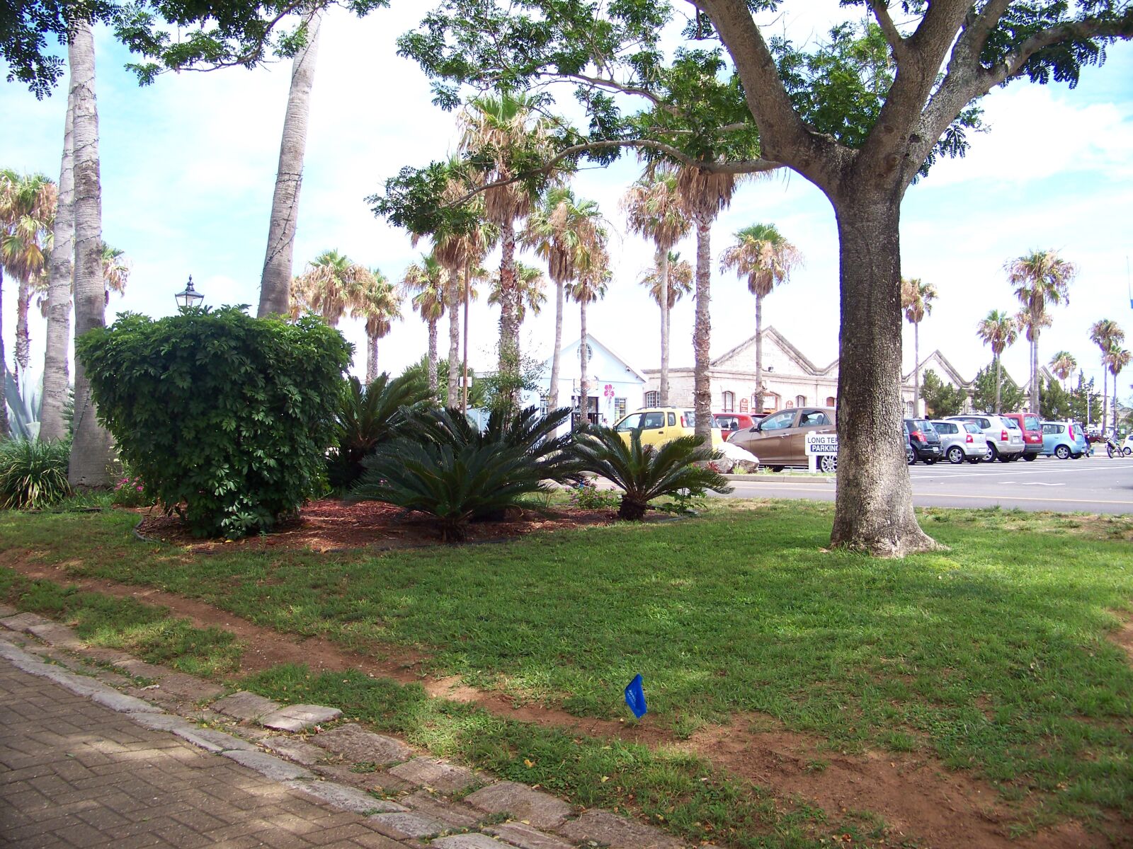 Kodak EASYSHARE Z1012 IS DIGITAL CAMERA sample photo. Burmuda photography