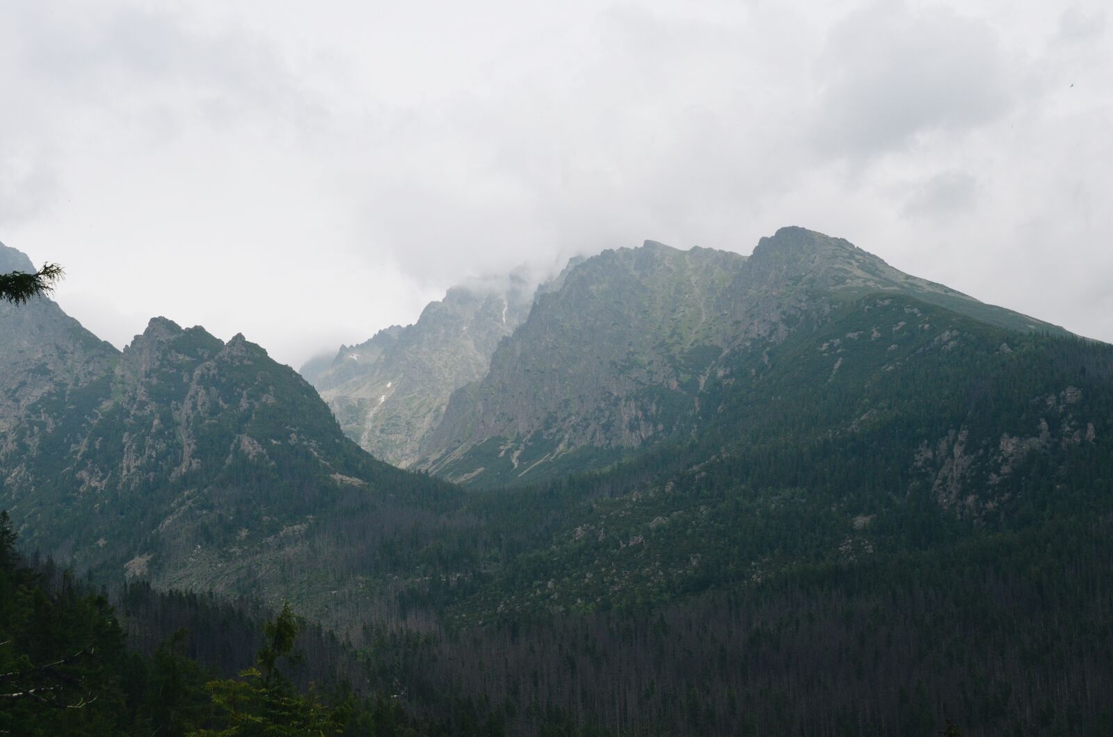 Nikon D5100 sample photo. Cloud, clouds, forest, mountain photography