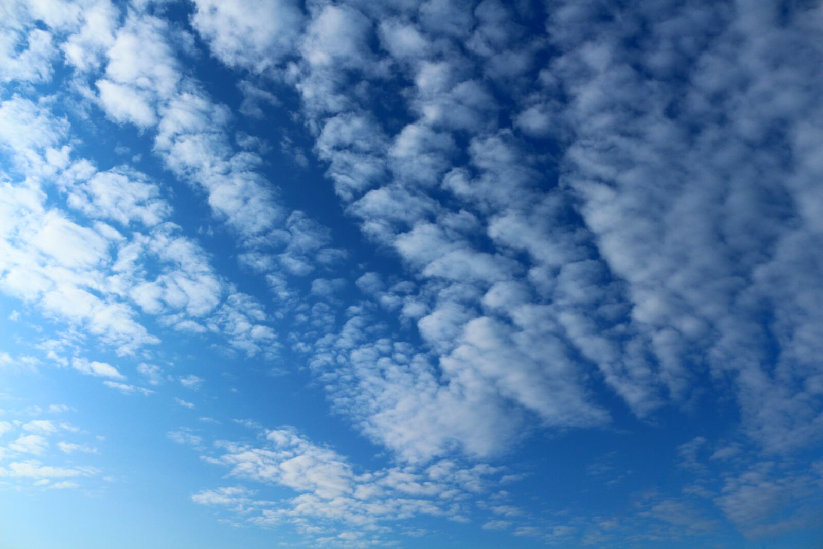 Canon EOS 650D (EOS Rebel T4i / EOS Kiss X6i) sample photo. Russia, saratov, sky photography