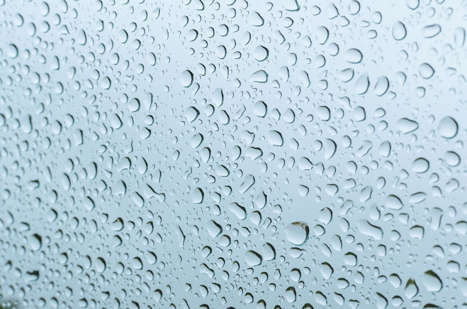 Nikon D7000 sample photo. Raindrops, rainy season, monsoon photography