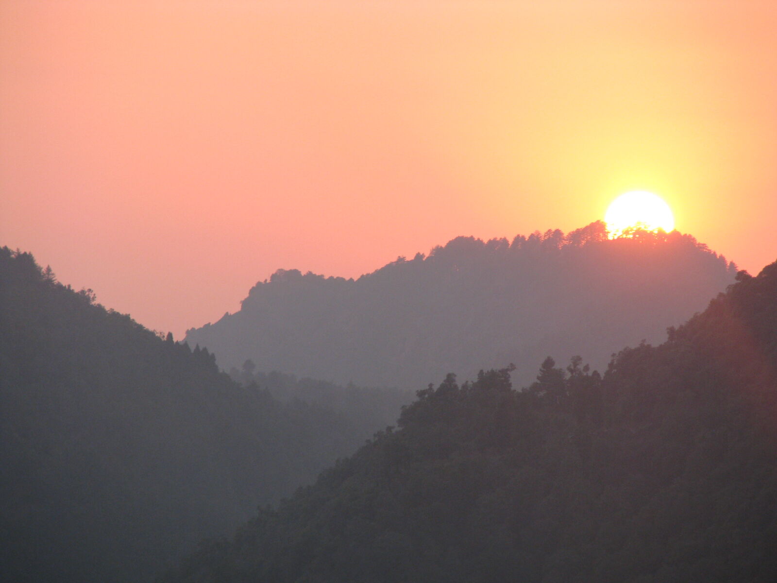 Canon POWERSHOT S5 IS sample photo. Orange, sky, sunset photography