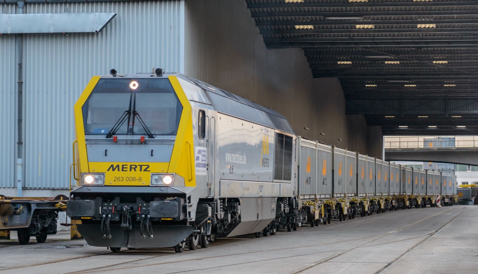 Nikon D800 sample photo. Locomotive, freight train, wagons photography