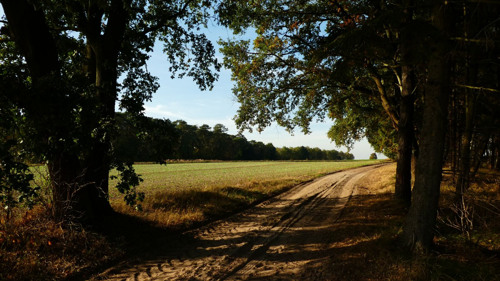 Panasonic DMC-TZ81 sample photo. Lane, nature, landscape photography