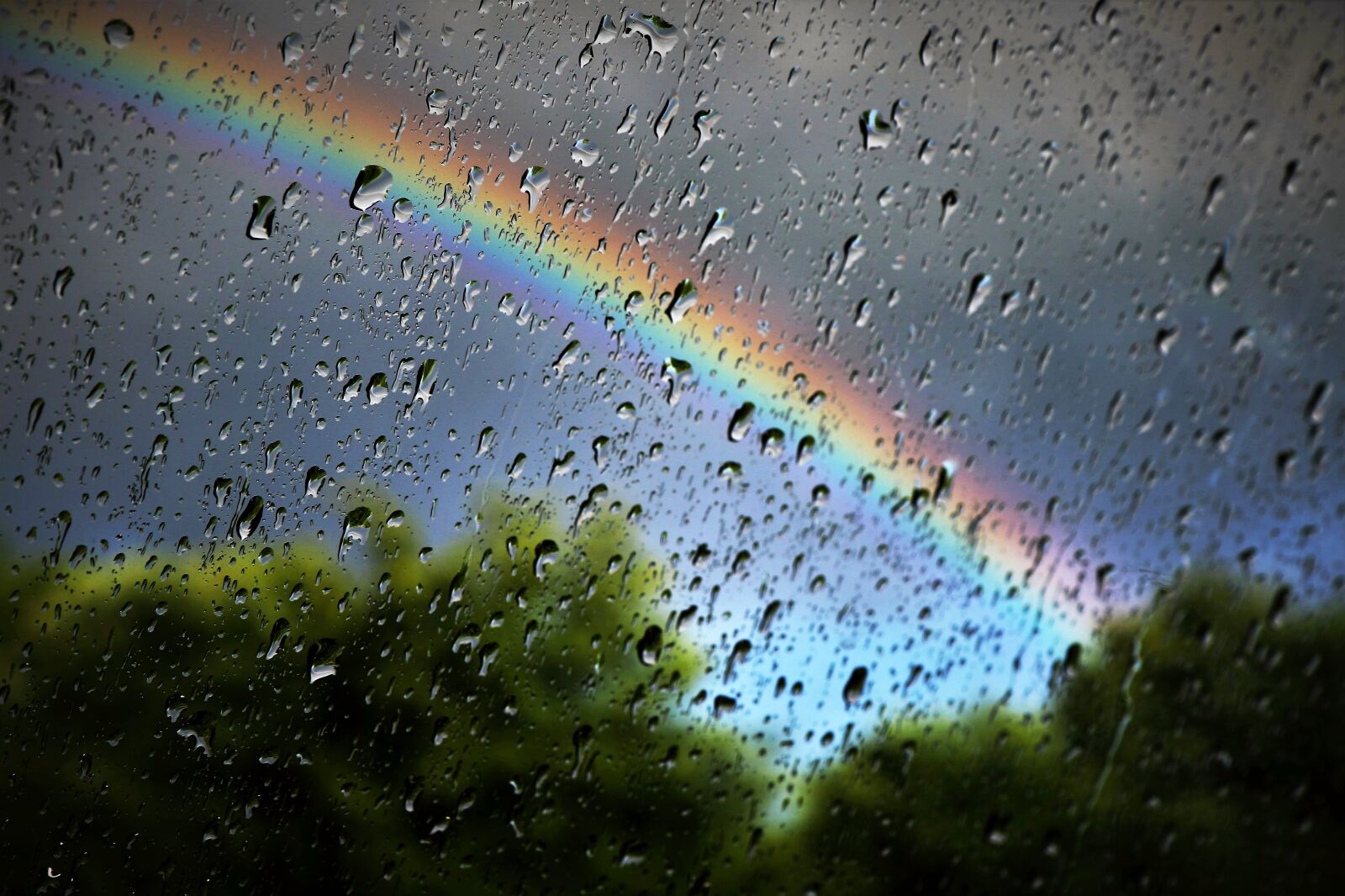 Canon EOS 7D Mark II sample photo. Rainbow, rain, nature photography