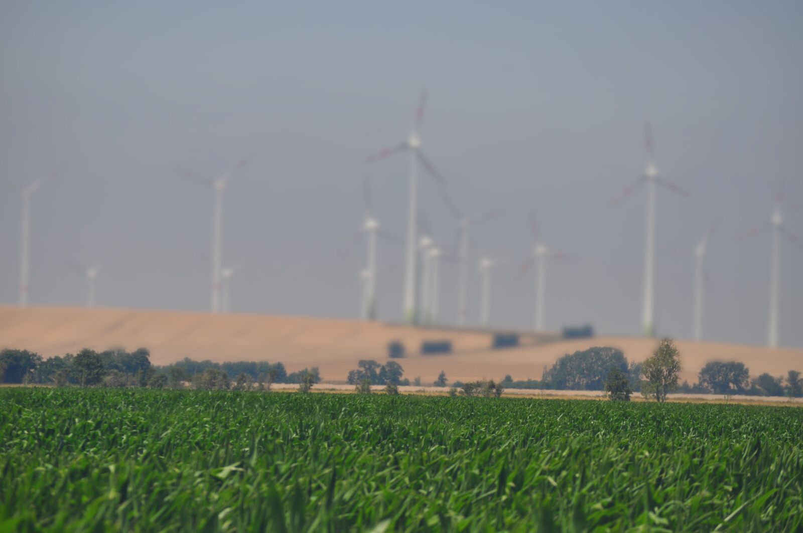 Nikon D5000 sample photo. Windräder, field, harvest photography