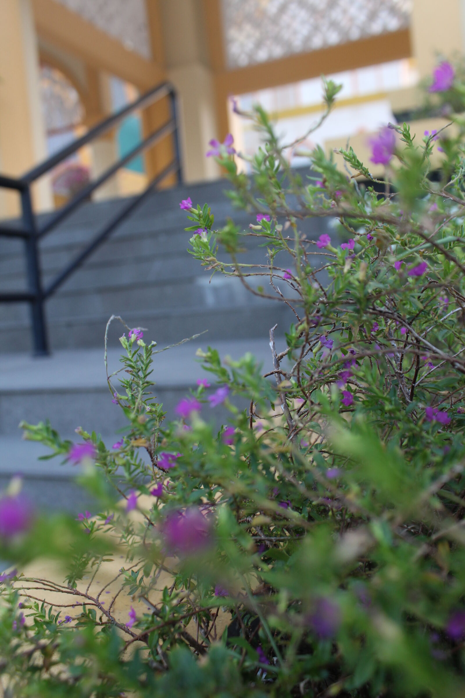 Canon EOS 1200D (EOS Rebel T5 / EOS Kiss X70 / EOS Hi) sample photo