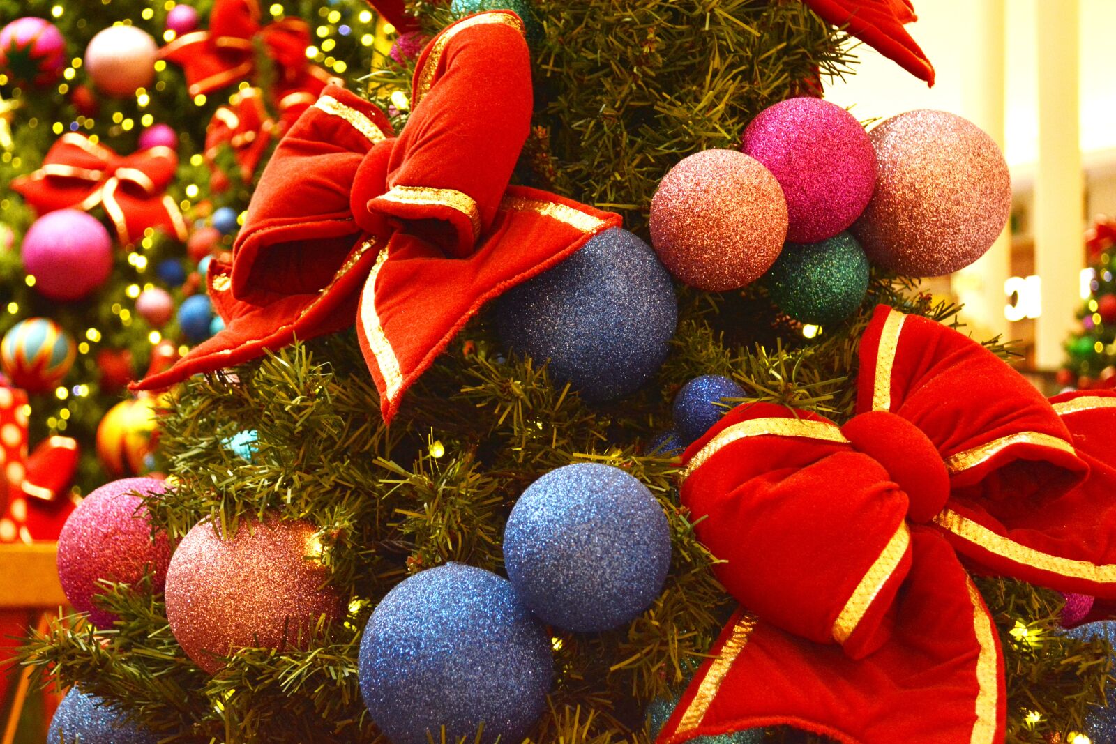 Nikon D5200 sample photo. Christmas, pinheirinho, christmas tree photography