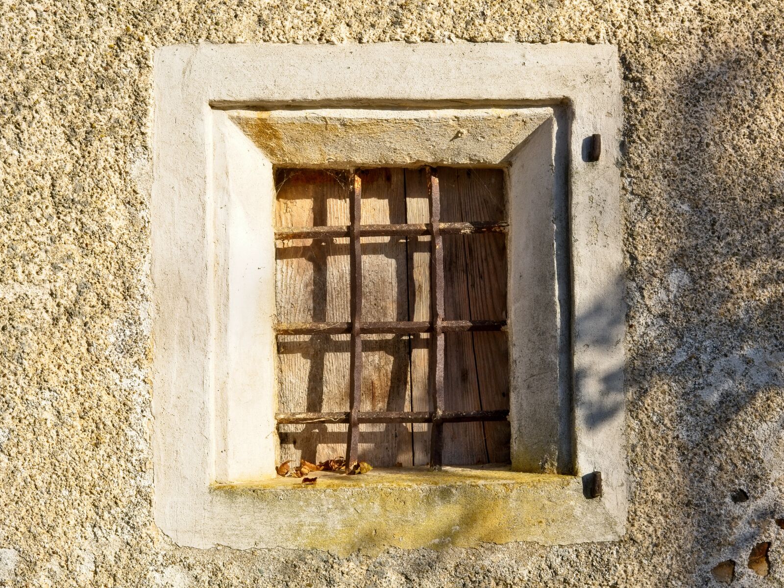 Nikon D7100 sample photo. Window, old, grid photography