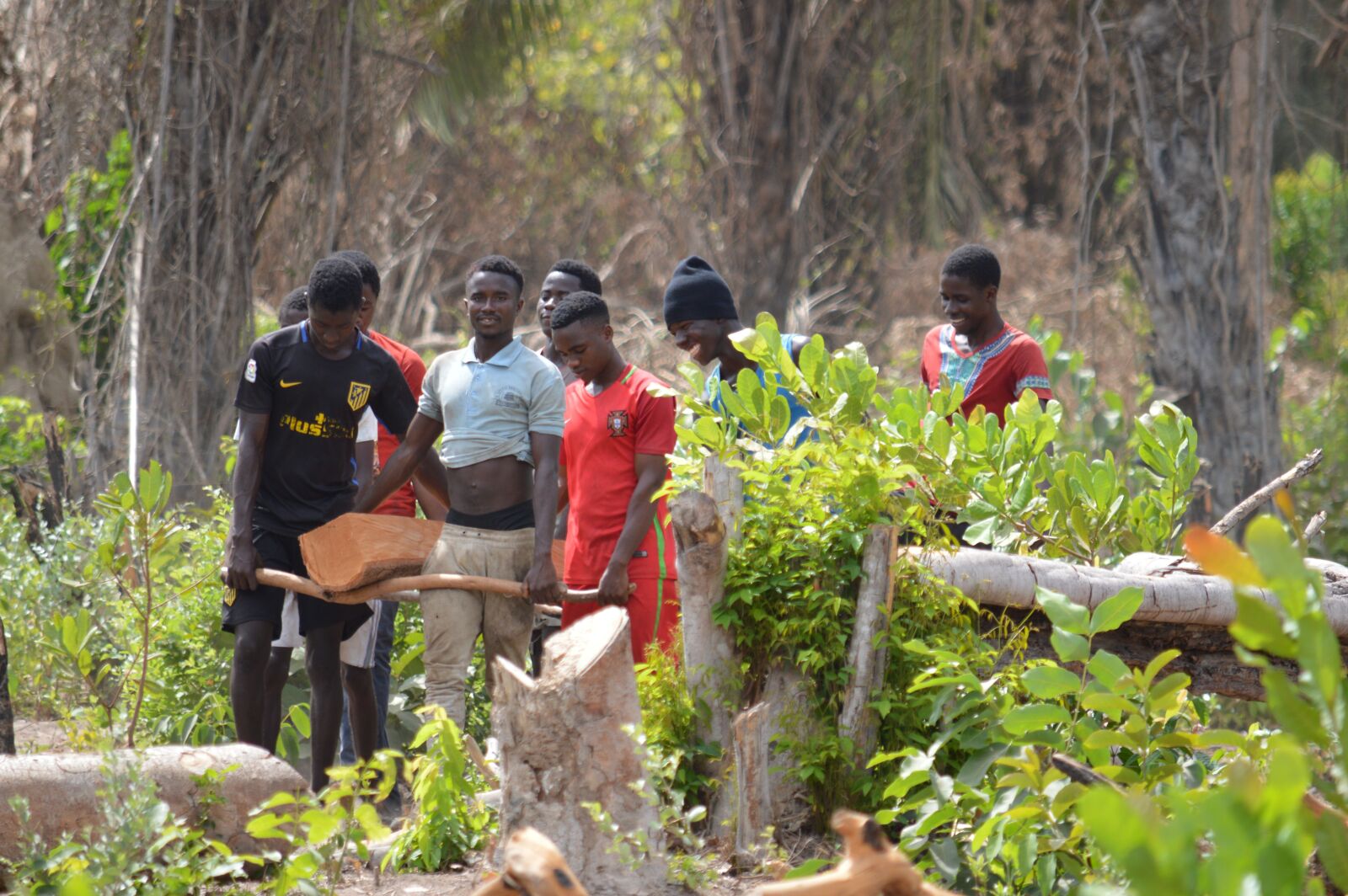 Nikon D3200 sample photo. Africa, work, woods photography
