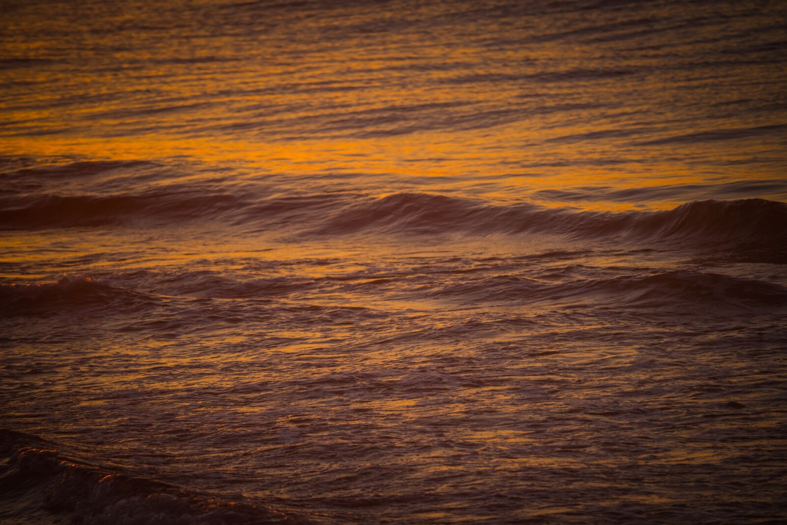 Canon EOS 100D (EOS Rebel SL1 / EOS Kiss X7) sample photo. Waves, sea, the influx photography