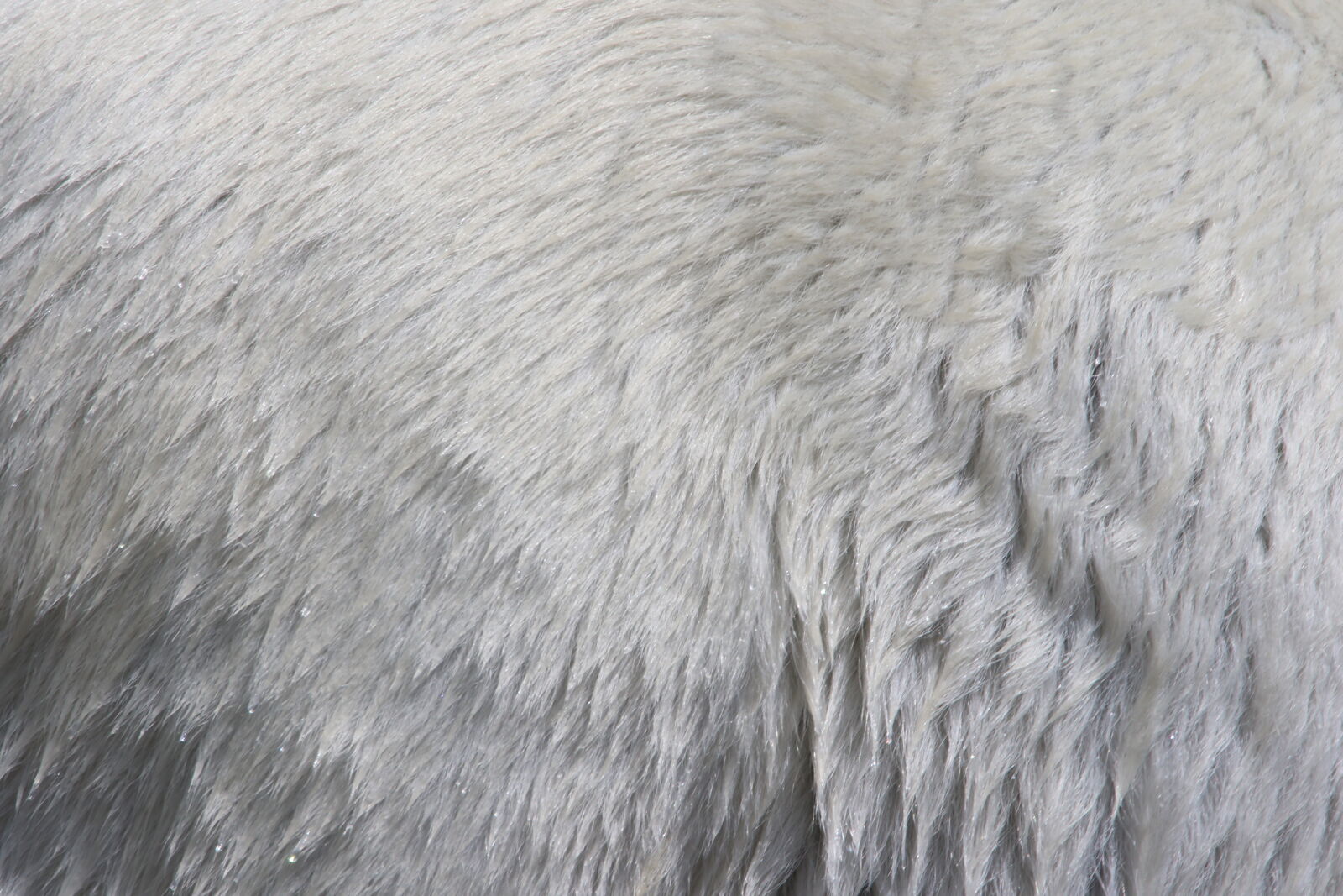 Canon EOS 7D Mark II sample photo. Animal, clean, dry, fluffy photography