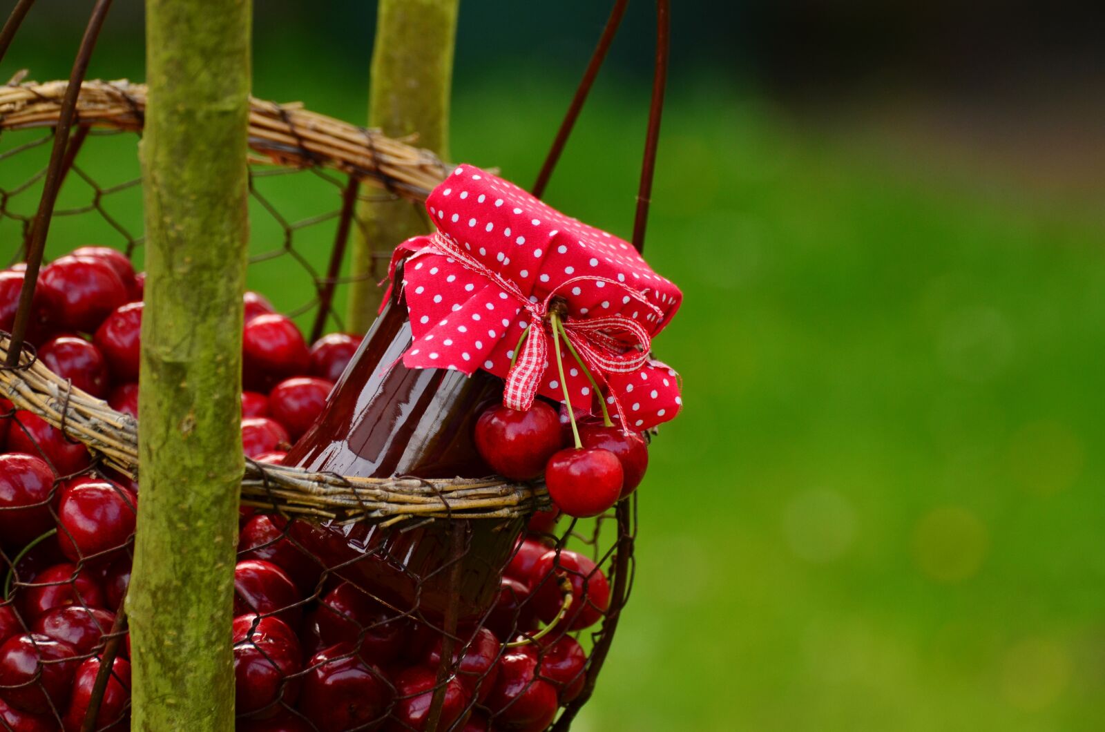 Nikon D5100 sample photo. Cherries, cherry jam, fruits photography