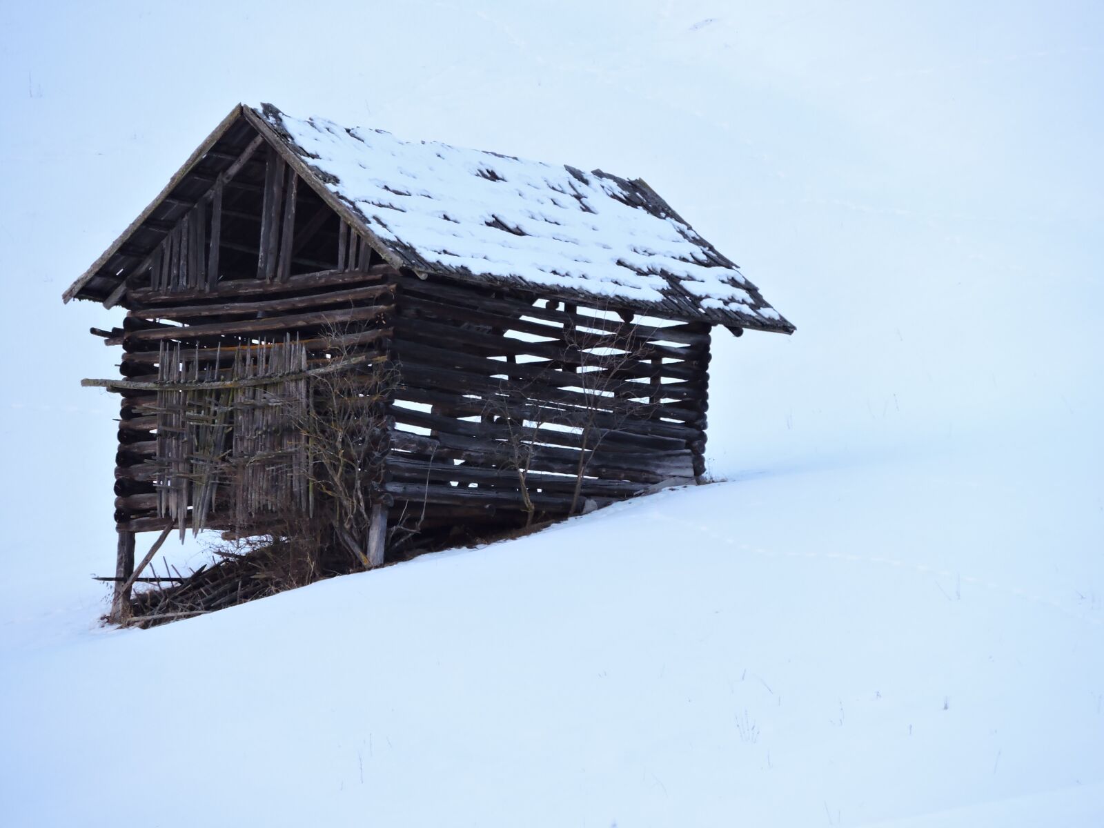 Nikon Coolpix P530 sample photo. Barn, winter, log cabin photography