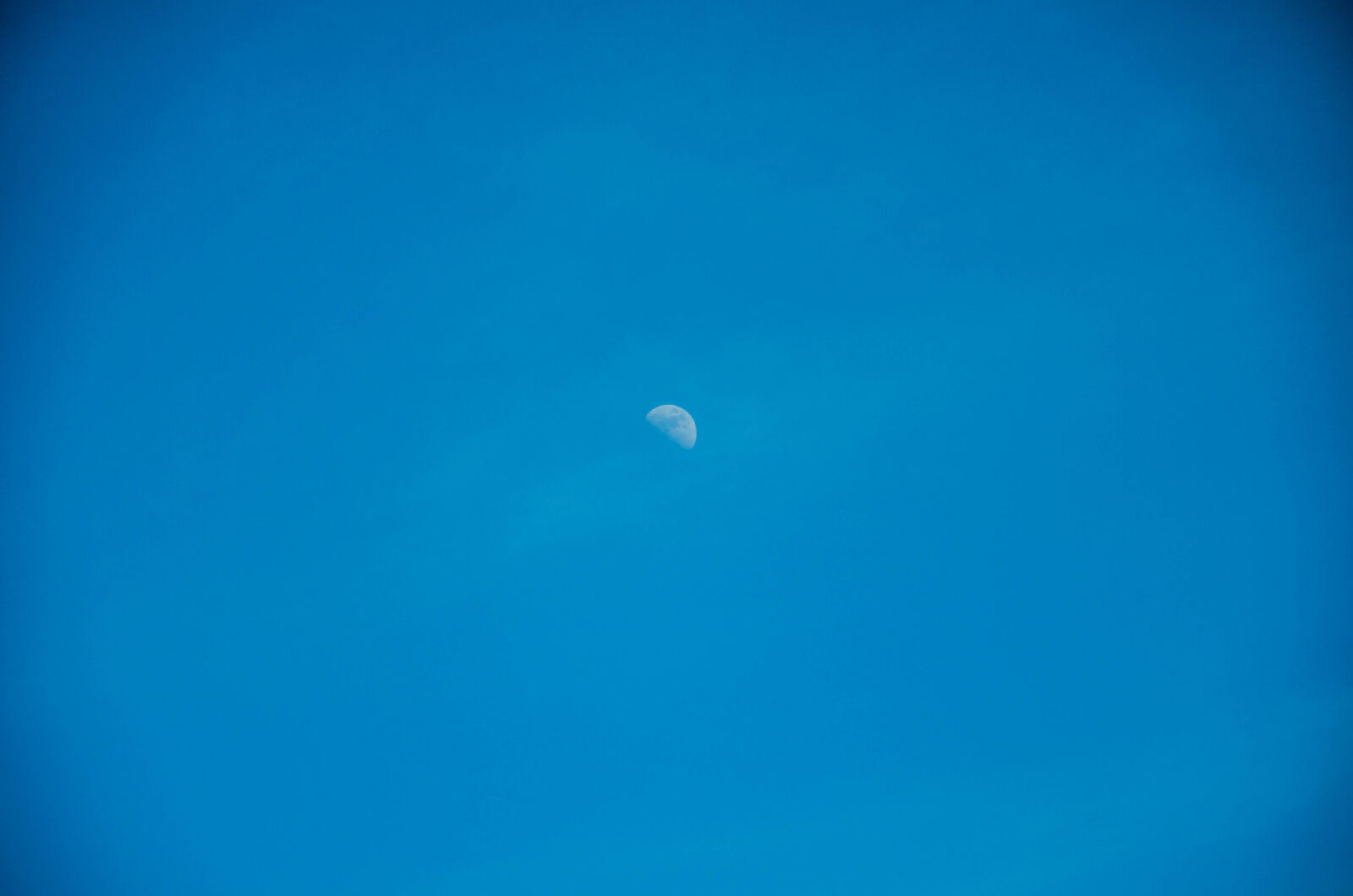 Nikon D5100 sample photo