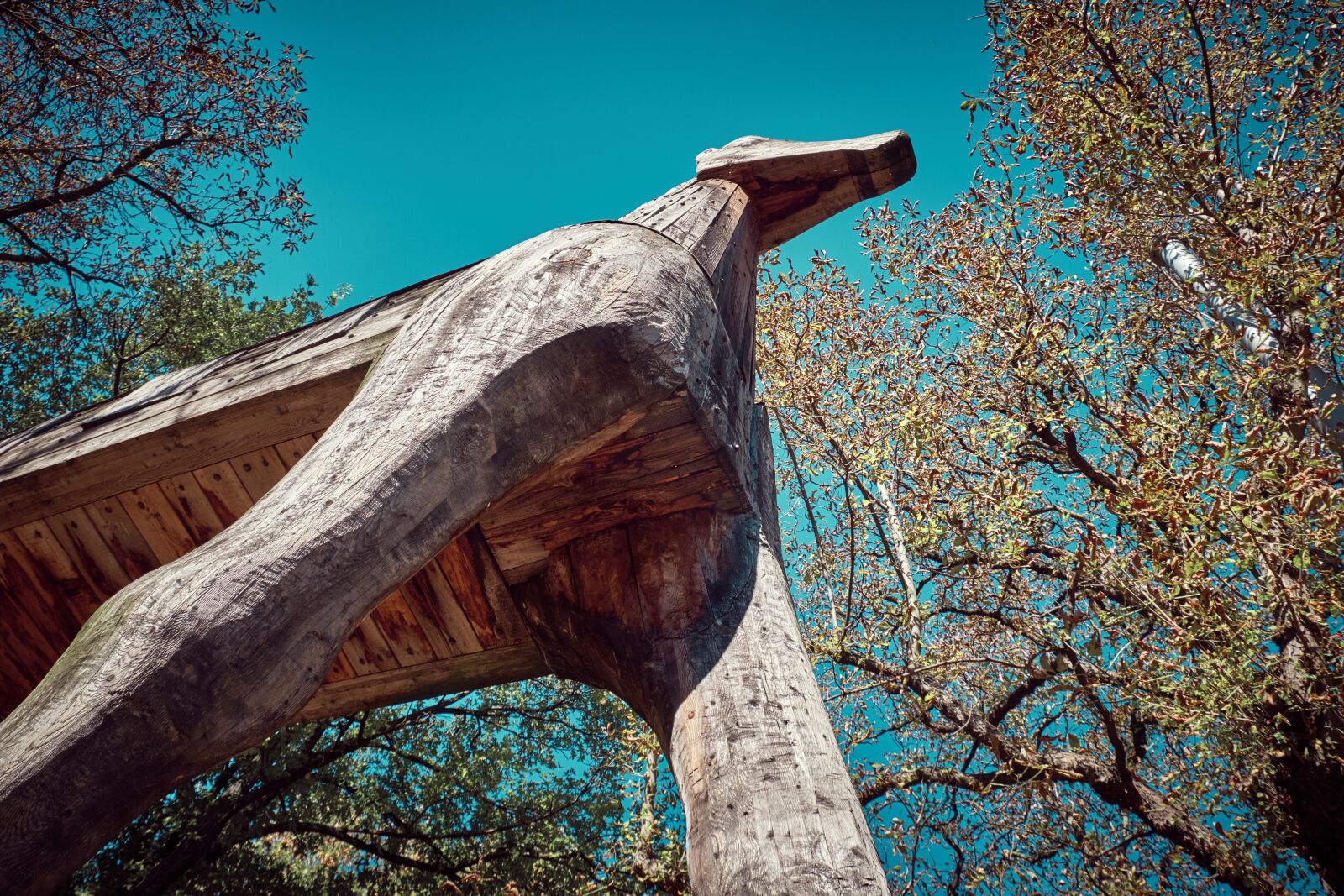 Fujifilm X-T20 sample photo. Stuttgart, troy, wooden horse photography