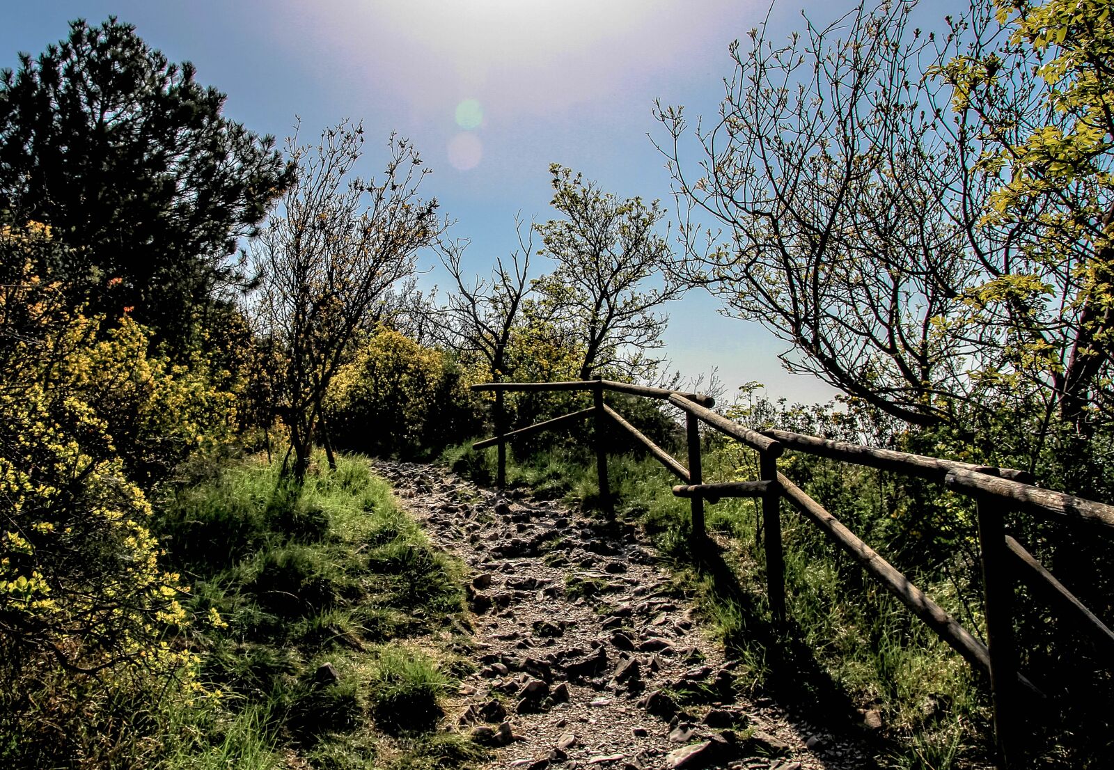 Canon EOS 60D sample photo. Italy, trieste, rilkeweg photography