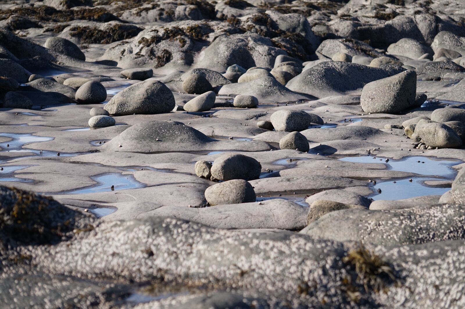 Sony Alpha a5000 (ILCE 5000) + Sony E 55-210mm F4.5-6.3 OSS sample photo. Rocks, stones, beach photography