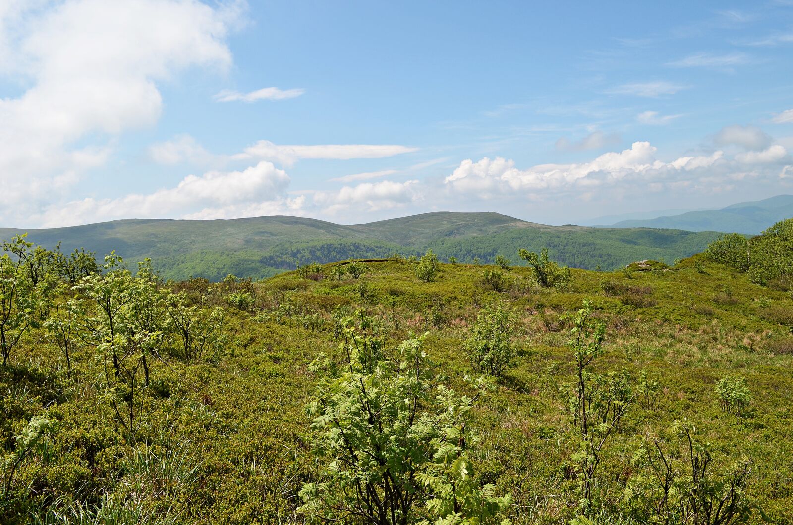 Nikon D5100 sample photo. Mountains, landscape, bieszczady photography