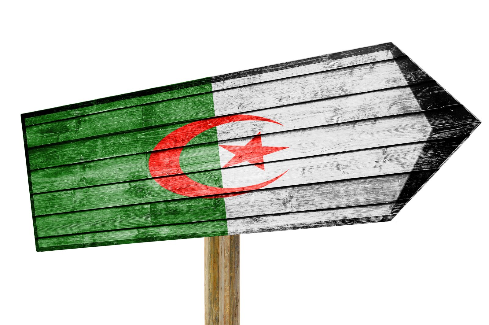 Nikon D90 sample photo. Flag, algeria, sign photography