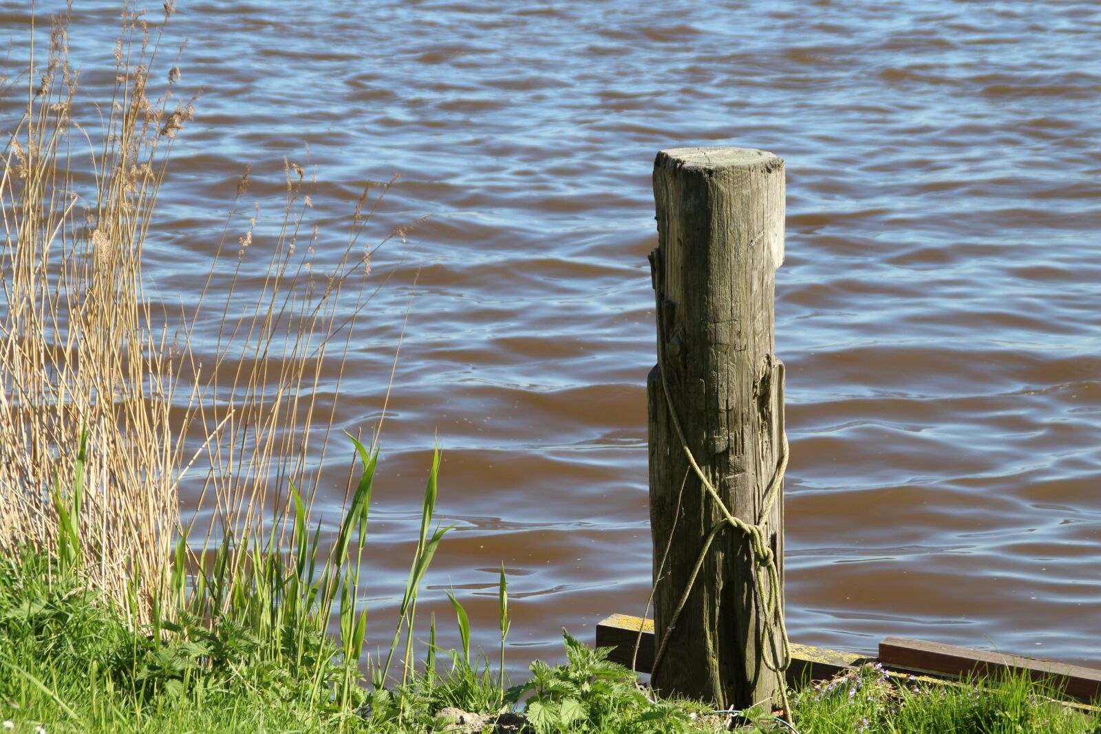 Canon EOS 1200D (EOS Rebel T5 / EOS Kiss X70 / EOS Hi) sample photo. Water, pier, lake photography