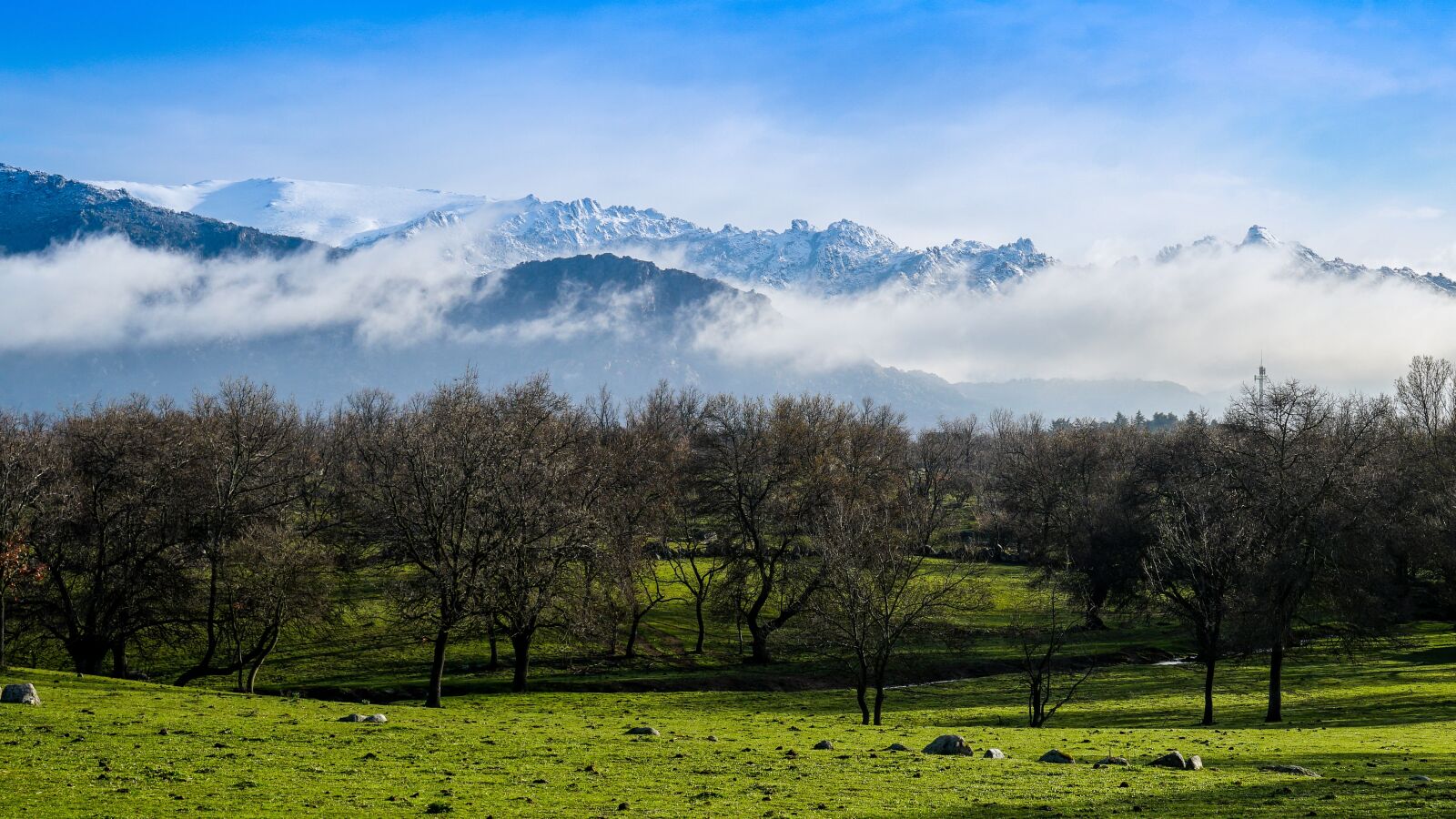 Sony a6500 + Sony Vario-Tessar T* E 16-70mm F4 ZA OSS sample photo. Pedriza, madrid, sky photography