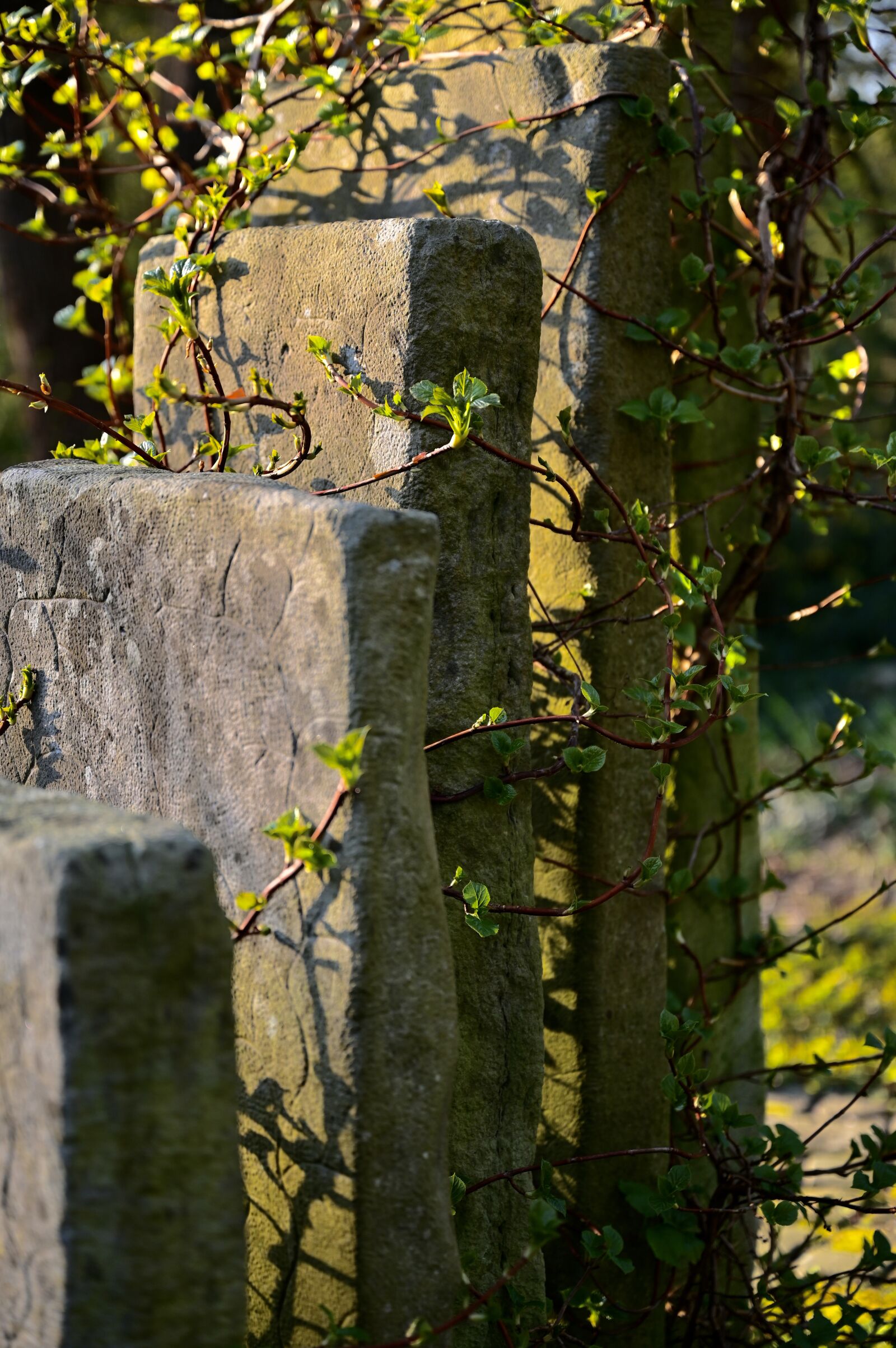 Nikon Nikkor Z 24-70mm F2.8 S sample photo. Grave stones, stone slabs photography