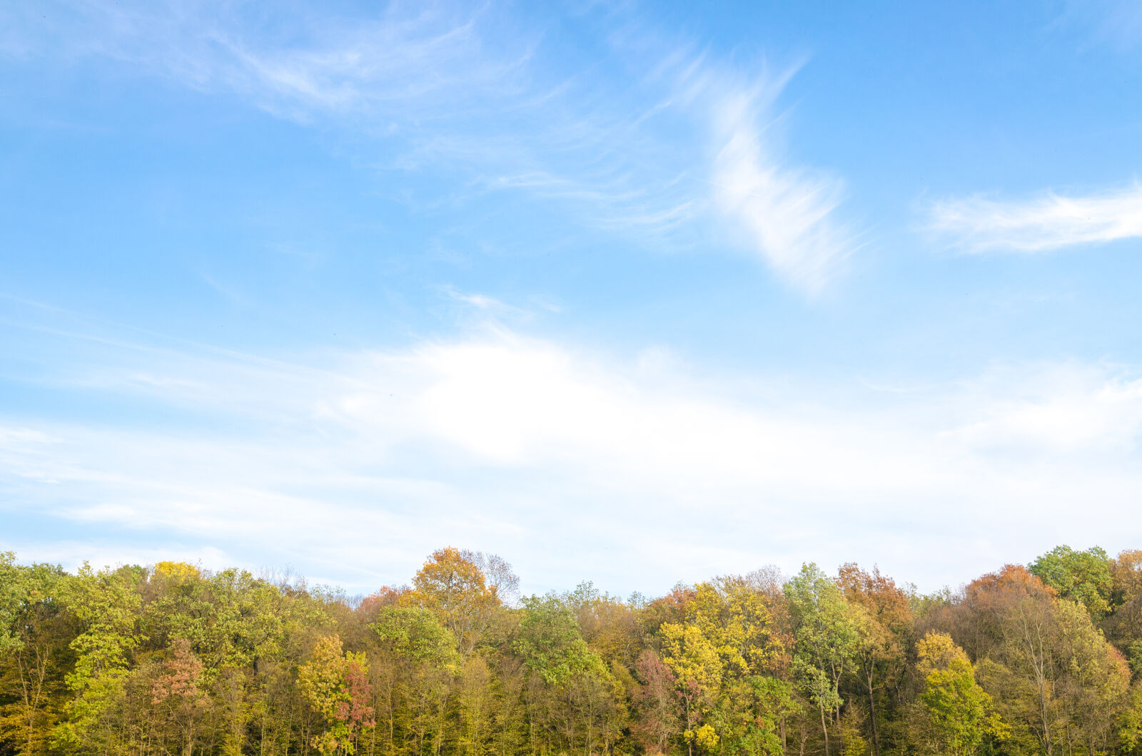 Nikon D5100 sample photo. Autumn, background, beautiful, blue photography