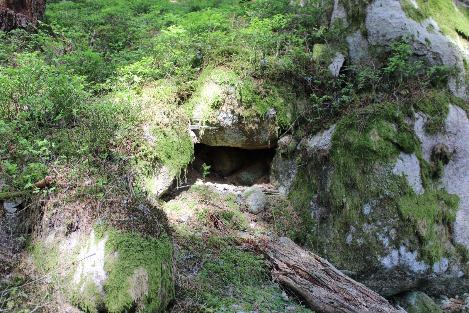 Canon EOS 2000D (EOS Rebel T7 / EOS Kiss X90 / EOS 1500D) sample photo. Cave, forest, nature photography