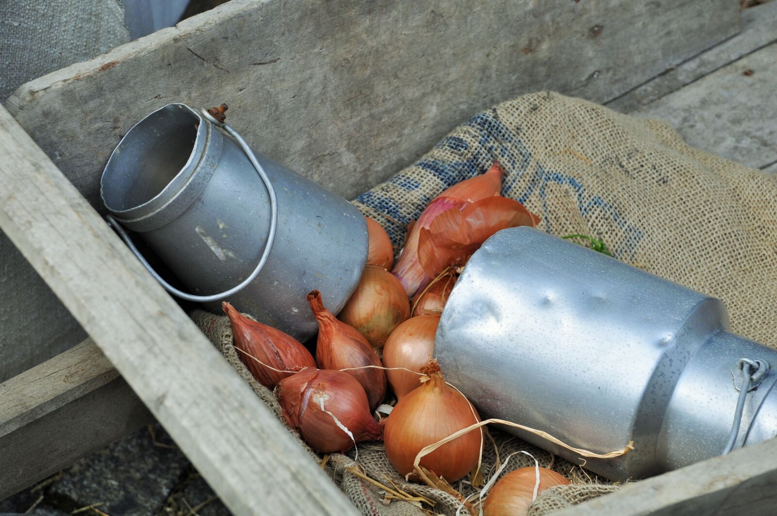 Nikon D90 sample photo. Onions, milk pot, wheelbarrow photography