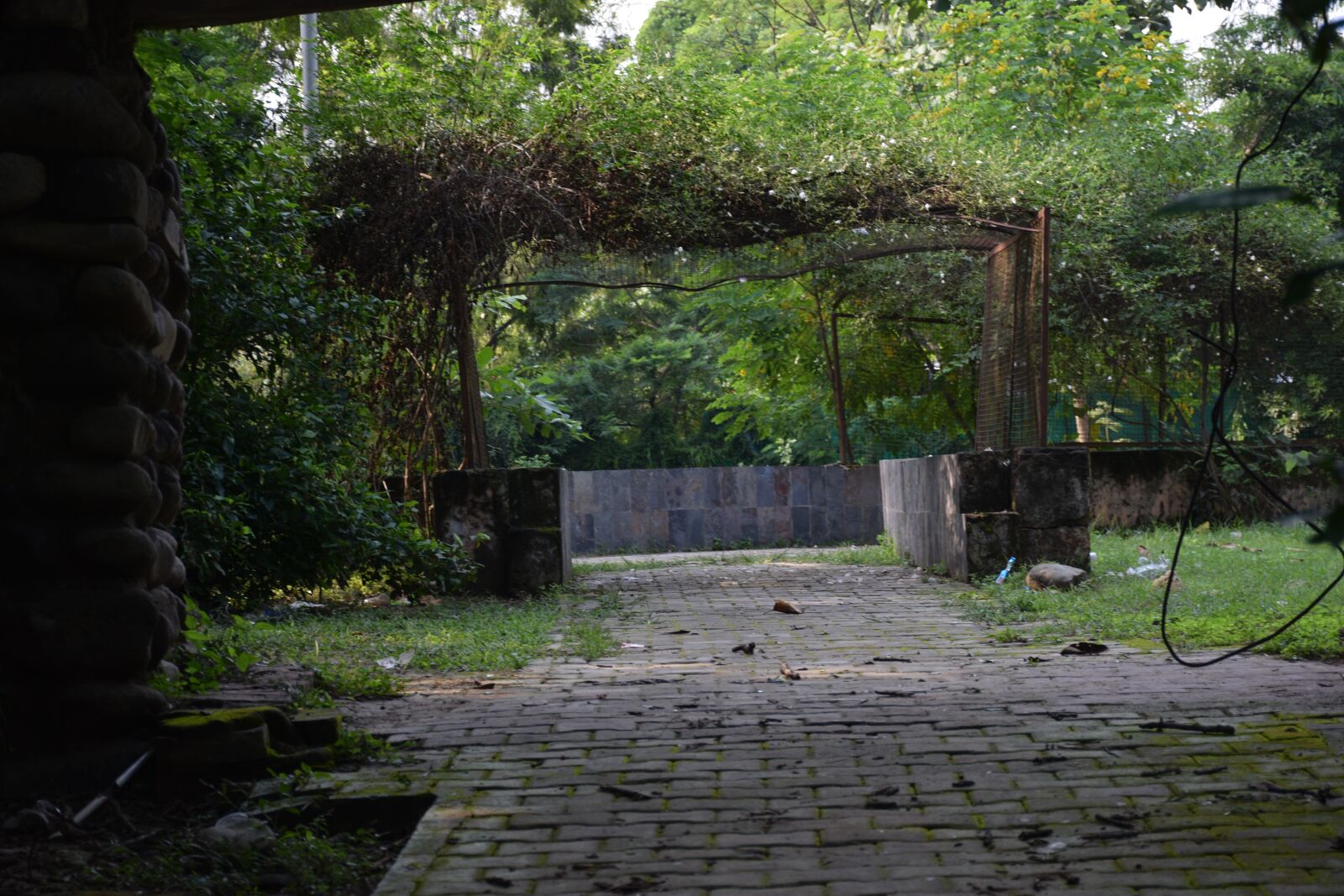 Nikon D5300 sample photo. Park, outdoor, walking photography