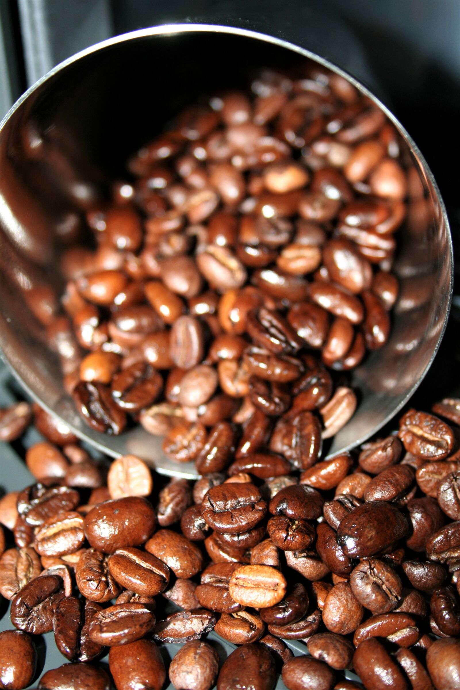 Canon EOS 350D (EOS Digital Rebel XT / EOS Kiss Digital N) sample photo. Coffee, beans, raw photography