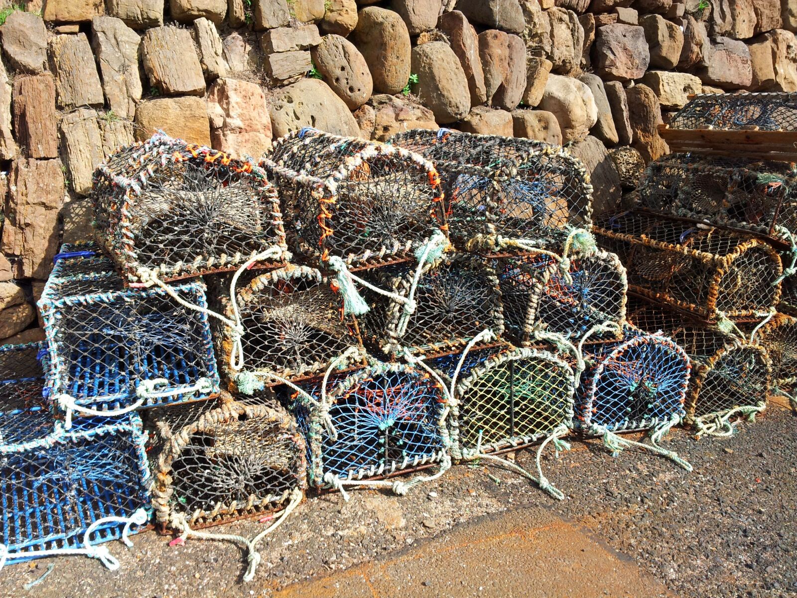 Samsung Galaxy Note sample photo. Lobster, creels, crail photography