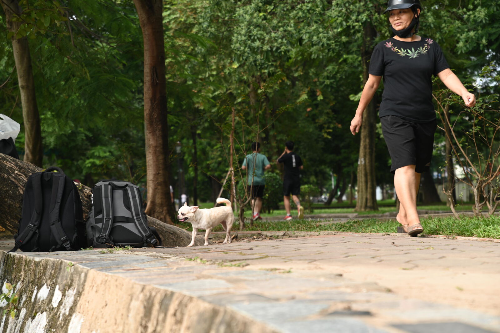 Nikon D780 sample photo
