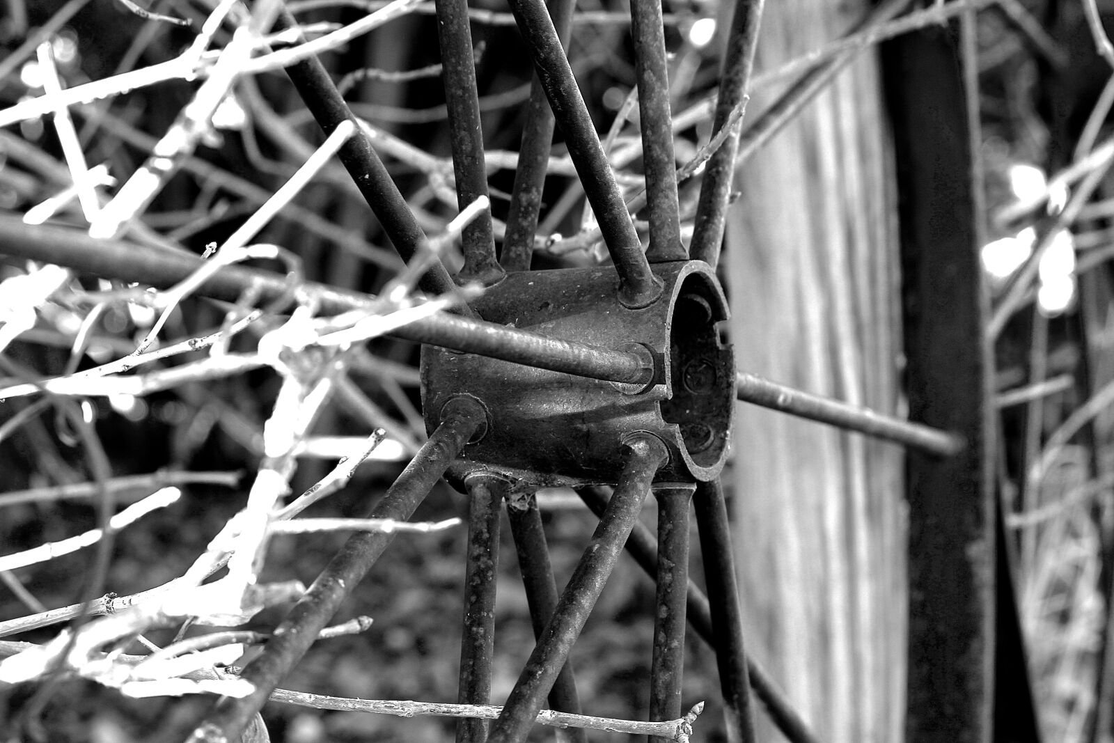 Canon EOS 7D sample photo. Wagon wheel, black and photography