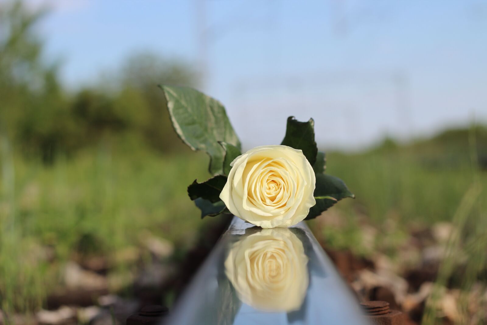 Canon EOS 600D (Rebel EOS T3i / EOS Kiss X5) + Canon EF 50mm F1.8 II sample photo. Stop children suicide, white photography