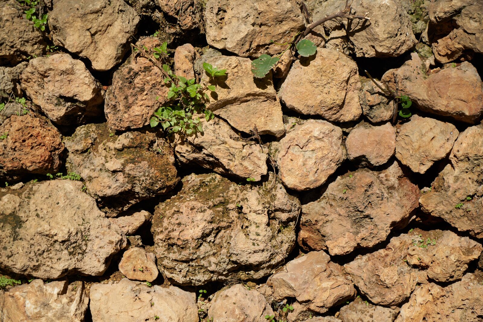 Sony a7R II sample photo. Wall, ground, old photography