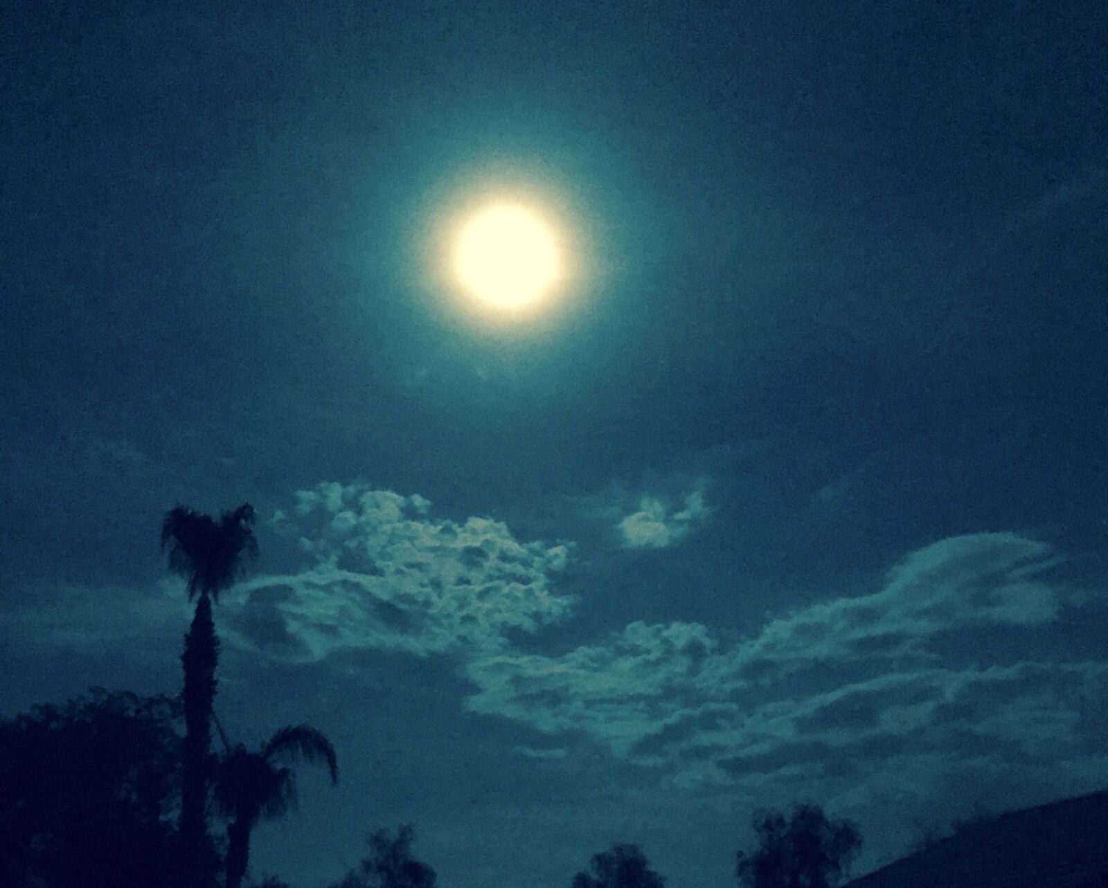 Apple iPhone 7 Plus sample photo. Arizona, full moon, moonlight photography