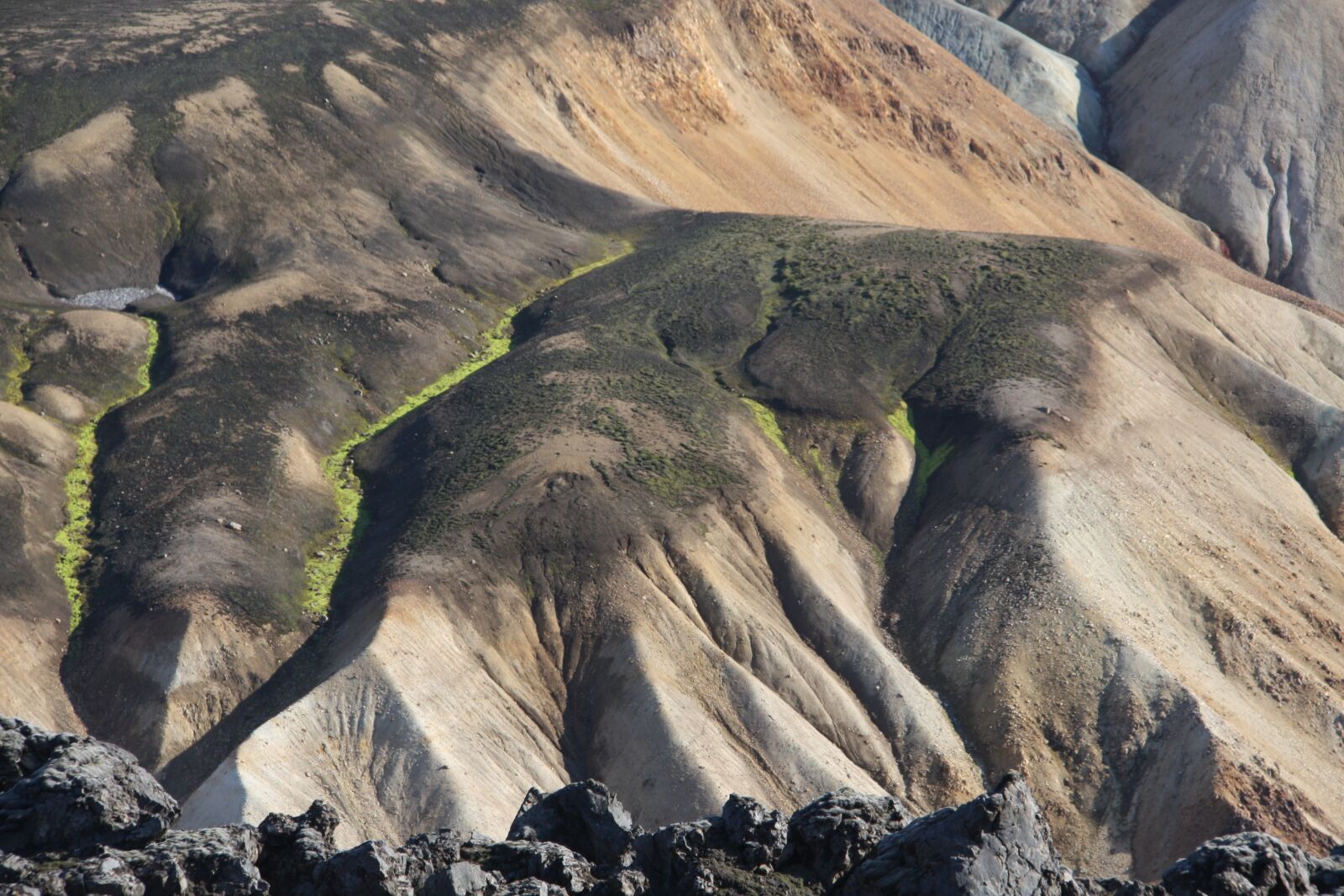Canon EOS 450D (EOS Rebel XSi / EOS Kiss X2) sample photo. Icelandic, landscape, desert photography