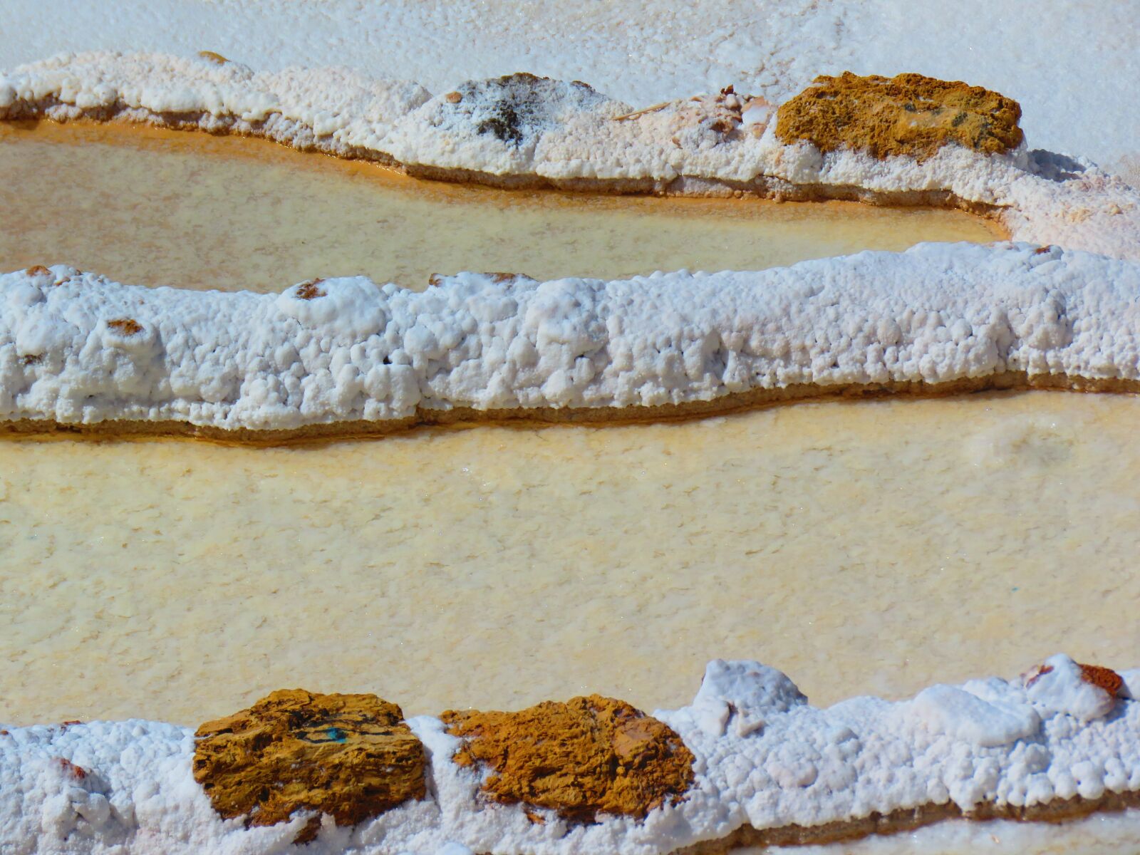Canon PowerShot SX60 HS sample photo. Salt, water, white photography