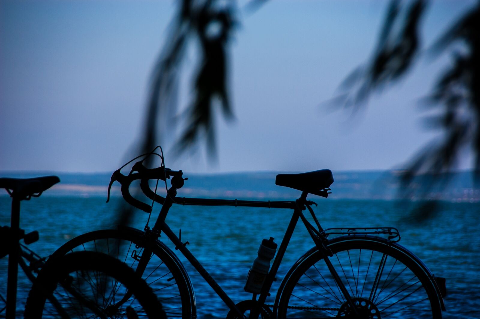 Nikon D40 sample photo. Bicycle, see, sports photography