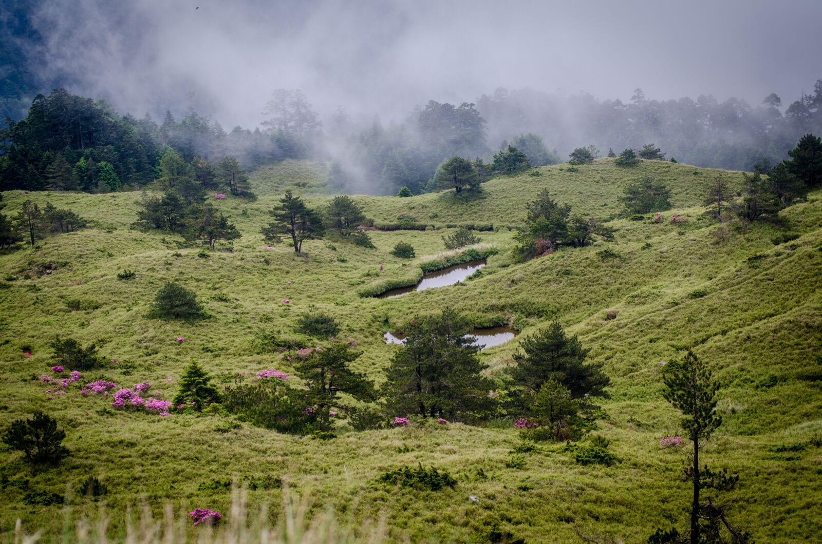 Nikon D7000 sample photo. Highest road in taiwan photography