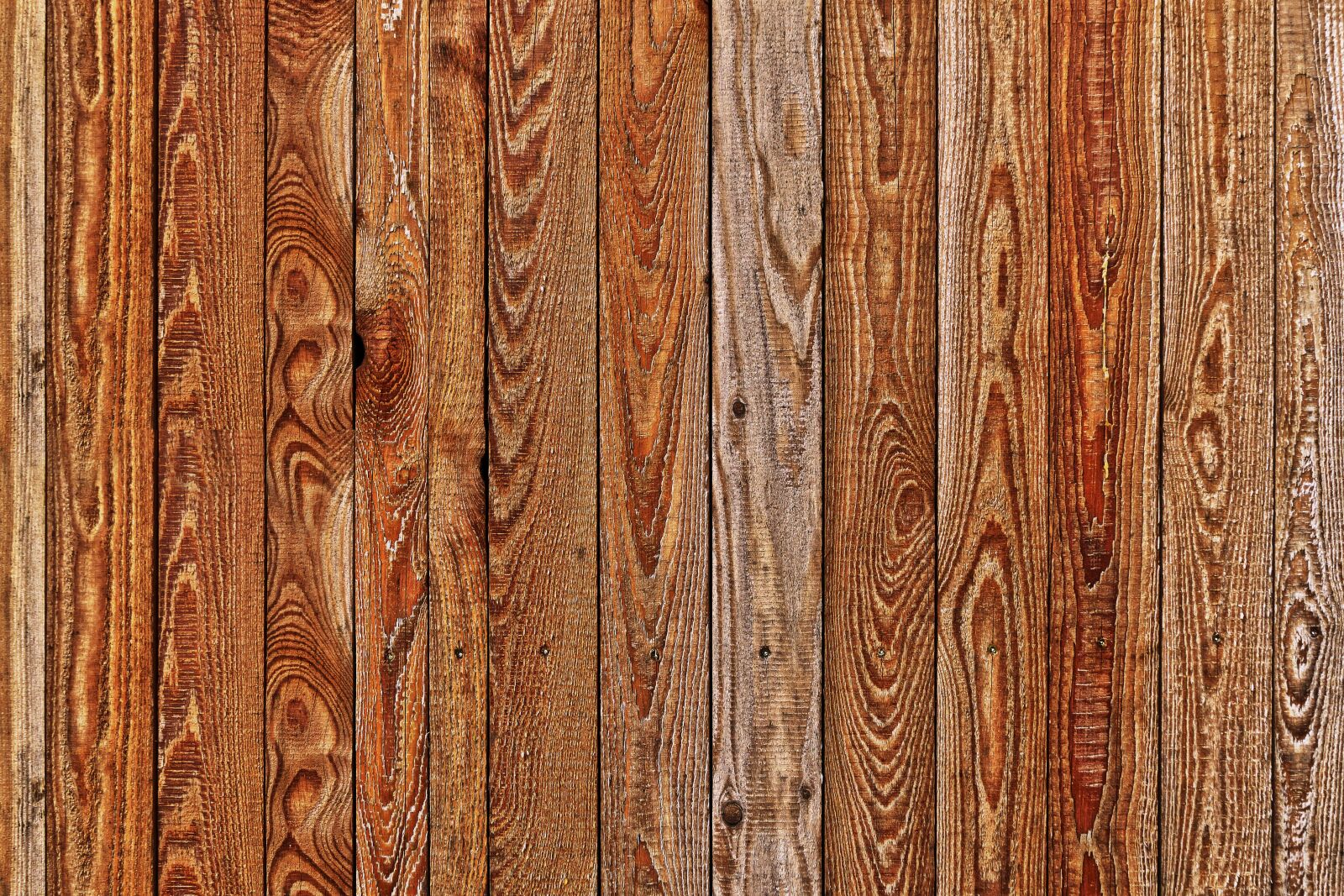Panasonic Lumix DMC-FZ1000 sample photo. Wood, boards, branches photography