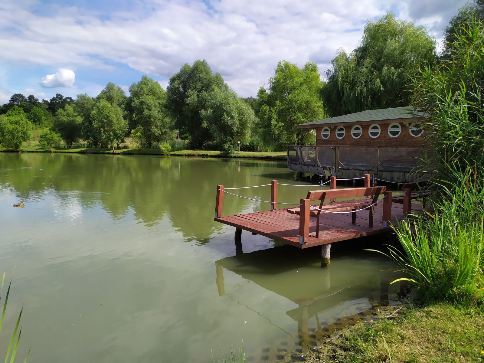 Xiaomi Redmi Note 7 sample photo. Lake, water, nature photography